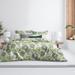 Red Barrel Studio® Elwes Coverlet/Bedspread Set Polyester/Polyfill/Cotton in Green | Super Queen Coverlet/Bedspread + 2 Queen Shams | Wayfair