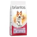 2x14kg Briantos Adult saumon, riz - Croquettes pour chien