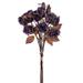 Vickerman 717219 - 16.5" Purple Dried Rose Bundle (FM223220) Home Office Flower Bundles