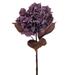 Vickerman 717271 - 18.5" Purple Dried Hydrangea Spray 2/Bag (FM223422) Dried and Preserved Flowering Plants