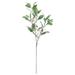 Set of 4 Frosted Green Artificial Ficus Leaf Stem Plant Greenery Foliage Spray Branch with Berries 38in - 38" L x 15" W x 10" DP