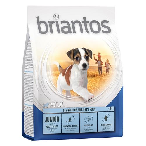 4 x 1 kg Junior Young & Fit Briantos Hundefutter trocken