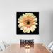 Red Barrel Studio® The High Noon Gerbera Photographic Print on Wrapped Canvas Canvas, Cotton in Black/Brown/White | 12 H x 12 W x 1.5 D in | Wayfair