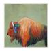 Stupell Industries Vivid Bison Hanging Feathers Horn Abstract Hair Wall Plaque Art By Karrie Evenson in Brown/Green/Orange | Wayfair