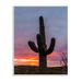 Stupell Industries Desert Cactus Plant Silhouette Radiant Sunset Sky Wall Plaque Art By Jeff Poe Photography in Black/Blue/Brown | Wayfair