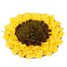 Tucker Murphy Pet™ Sunflower Snuffle Mat Polyester/Recycled Materials in Brown/Yellow | 1.18 H x 18.9 W x 18.9 D in | Wayfair