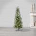 The Holiday Aisle® 4 Foot Narrow Cut Jackson Pine Tree w/ 204 Tips & 200 UL Incandescent Lights in Green/White | 23 W in | Wayfair