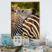 Ebern Designs African Zebra Photo Portrait - Graphic Art on Canvas in Black/Gray/Red | 12 H x 8 W x 1 D in | Wayfair