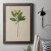 August Grove® Pretty Pressed Flowers II Premium Framed Canvas- Ready To Hang Canvas in Green | 27 H x 18 W x 2.5 D in | Wayfair