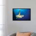 East Urban Home 'A Green Sea Turtle Swims by a Reef Under the Sun, North Sulawesi, Indonesia' Photographic Print on Canvas Canvas | Wayfair