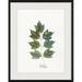 Spicher & Co Murmur in the Trees by Kolene Spicher - Painting Paper in Green/White | 30.25 H x 24.25 W x 1.25 D in | Wayfair 24169