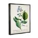 Stupell Industries Botanical Plant Illustration Blue Flowers Vintage Design Canvas Wall Art By World Art Group Canvas in Green | Wayfair