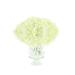 Primrue Hydrangea Floral Arrangement in Vase Silk in Yellow | 13 H x 12 W x 12 D in | Wayfair 416B01943C26476D9F23E4C0D5B62763