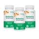 NMN Bio Berberine 400mg with Milk Thistle - Supports Healthy Blood Glucose Levels - 3 Pack of 60 Capsules