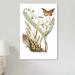 East Urban Home Catesby's Natural History Series 'Monarch Butterfly, Clamshell Orchid & Pleated Orchid' Painting Print on Canvas | Wayfair