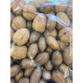 Nut mix in Shell Walnuts and Pecan Nuts, Premium Raw whole nuts (3)