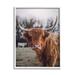 Stupell Industries Highland Cattle Cow Gazing Warm Sunny Portrait Giclee Texturized Art Set By Dakota Diener Canvas in Brown/Gray | Wayfair