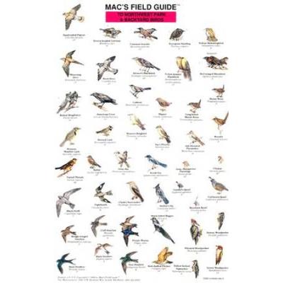 Mac's Field Guides: Northwest Park & Backyard Birds