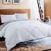 DOMDEC Winter Warmth Quilted Comforter-Cozy Soft Dow Alternative Duvet-Hotel Collection Machine Washable in White | Queen Comforter | Wayfair