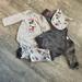 Disney Matching Sets | Disney Baby Mickey Velour Outfit Set | Color: Gray/Red | Size: 3-6mb