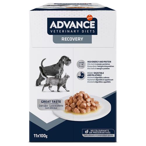 11x100g Advance Veterinary Diets Recovery Hundefutter nass