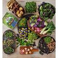 The Chef's Garden Gourmet Vegetable Box With Cookbook, Fresh Vegetables, Gifts by Harry & David