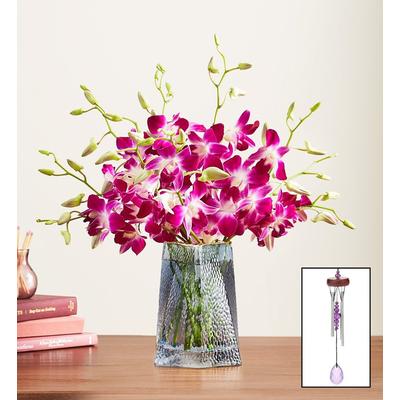 1-800-Flowers Flower Delivery Exotic Breeze Orchids 10 Stems Bouquet Only | Same Day Delivery Available | Happiness Delivered To Their Door