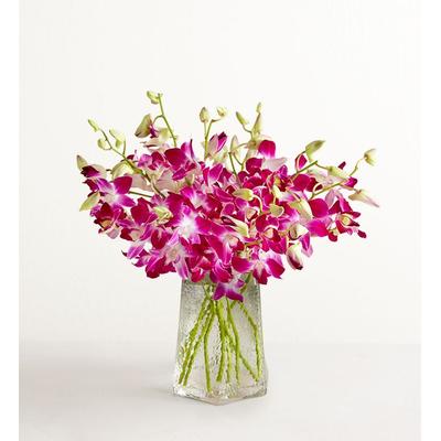 1-800-Flowers Flower Delivery Exotic Breeze Orchids 10 Stems W/ Clear Vase | Put A Smile On Their Face