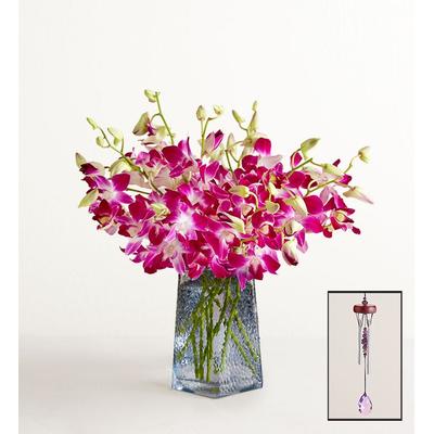 1-800-Flowers Flower Delivery Exotic Breeze Orchids 10 Stems W/ Blue Vase & Windchime | Happiness Delivered To Their Door