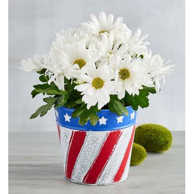 1-800-Flowers Everyday Gift Delivery Patriotic Dai...