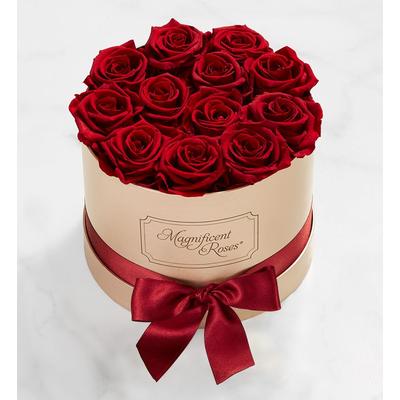 1-800-Flowers Flower Delivery Magnificent Roses Preserved Cabernet Roses Magnificent Roses Cabernet One Dozen