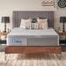 Full Medium 12" Hybrid Mattress - Sealy Paterson | 79 H x 60 W 12 D in Wayfair 52786640