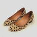 Madewell Shoes | Madewell The Quinn Shoe In Calf Hair Leopard Print Heel Flats Women's Size 6 | Color: Black/Tan | Size: 6