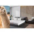 Merino Wool Luxury Alpaca Duvet Alpaca Wool Duvets ALL SEASON DUVET (150 x 200 cm)