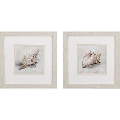 Seashell Textures Framed Wall Décor, Set Of 2 by Propac Images in Neutral