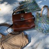 Dooney & Bourke Bags | Lot Of Dooney Bourke , 2 Clear Bags, One Camera Like Leather Bag, One Shoulder | Color: Brown | Size: Os