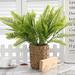 Primrue Fern Floral Arrangement in Planter Plastic | 2 H x 17 W x 2 D in | Wayfair C184D601B7494A75892FBA38E52E201D