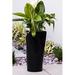 Arlmont & Co. Self Watering Plastic Pot Planter in Black | 22.44 H x 11.42 W x 11.42 D in | Wayfair B0759FDDC349475E9F57DDD5CA69D831