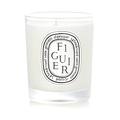 Diptyque Figuier Scented Candle 70g