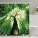 East Urban Home Jarique Forest Home Sunlights to Woodland Wild Habitat Summer Rays Dreamy Foliage Park Landscape Shower Curtain Set Polyester | Wayfair