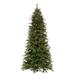 Vickerman 692202 - 10' x 72" Artificial Douglas Fir 1350 LED Warm White Dura-Lit� Lights Slim Pre-Lit Christmas Tree (K224186LED)