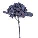 Vickerman 710272 - 13" Plum Dried Hydrangea Spray 6/Bag (FM224016) Dried and Preserved Flowering Plants