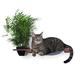 Tucker Murphy Pet™ Bastien Planter Lounge Handcrafted Cat Perch Wood in Red/Brown | 4 H x 25 W x 11 D in | Wayfair 3D010AD79A4F46D49E442C7425BE76D2