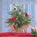 The Holiday Aisle® Cardinal Sleigh Decorative Accent Wood/Plastic/Metal in Brown | 17 H x 11 W x 14 D in | Wayfair A8B70DFD828E4E7CBA04476173B7890C
