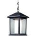 1 Light Outdoor Chain Light in Black finish