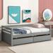 Grey Daybed with Two Drawers Twin Size Sofa Bed Two Storage Drawers