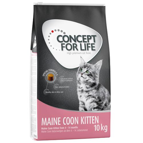 2x10 kg Maine Coon Kitten Concept for Life Katzenfutter trocken