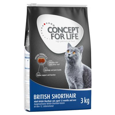 3x3kg British Shorthair Concept for Life Trockenfutter für ausgewachsene Katzen