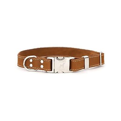 Euro-Dog Quick Release Leather Dog Collar, Bark Brown, Small: 10 to 15-in neck