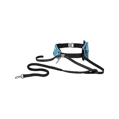 Frisco Outdoor Running Belt with Bungee Dog Leash, Blue, SM